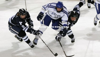 南宫28-尼斯客场憾平图卢兹 积分榜上优势缩水