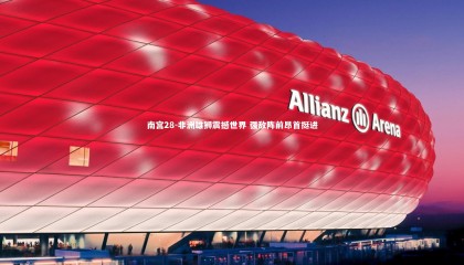 南宫28-非洲雄狮震撼世界 强敌阵前昂首挺进