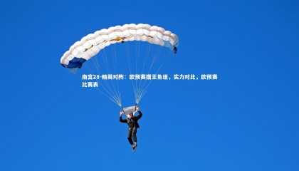 南宫28-精英对阵：欧预赛擂王角逐，实力对比，欧预赛比赛表